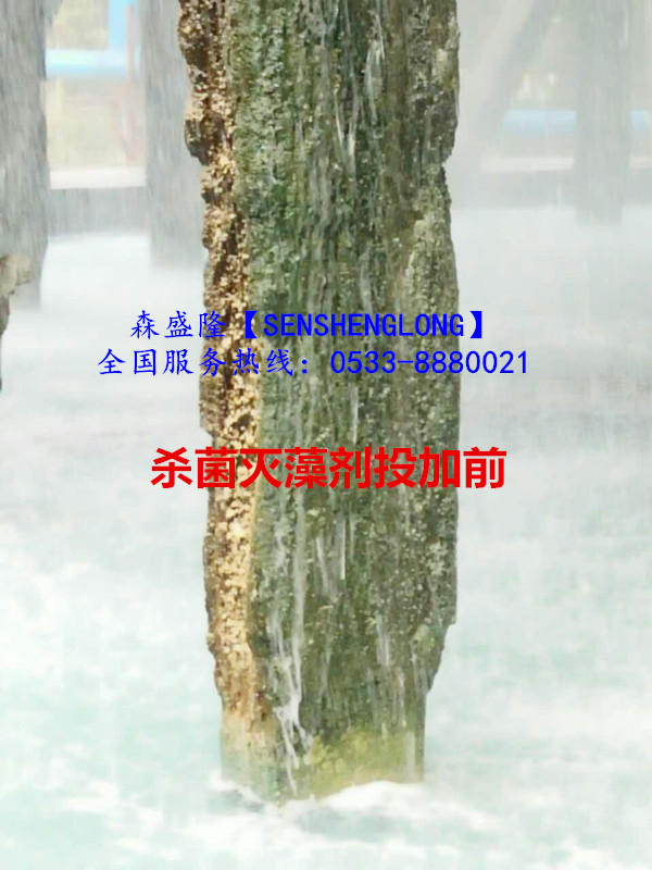 殺菌滅藻劑SM305殺菌高效適用廣譜